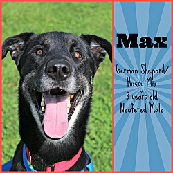 Photo of Max