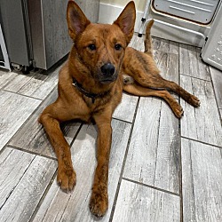 Photo of Westley