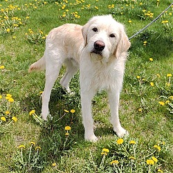 Photo of Tommy