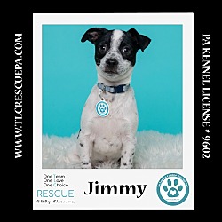 Photo of Jimmy (The J Crew) 062224