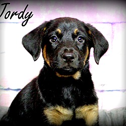 Thumbnail photo of Jordy ~ meet me! #1