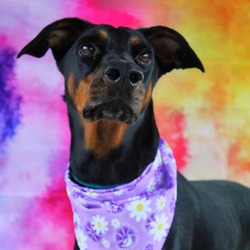 Photo of Duchess JuM