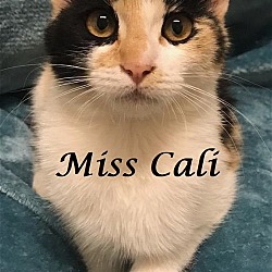 Photo of Miss Cali at Martinez Pet Food Express May 4th