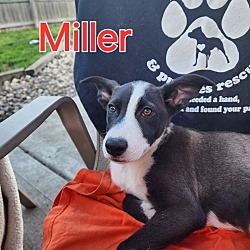 Photo of Miller