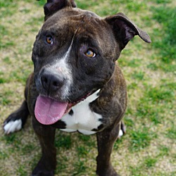 Photo of Diamond