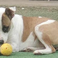 Photo of Nena - a happy camper