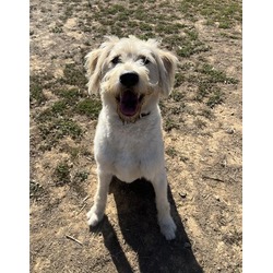 Photo of LOUIE