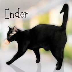 Thumbnail photo of Ender #3