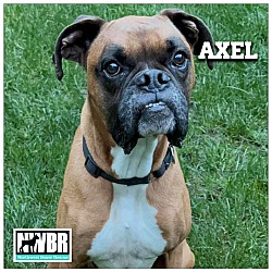 Photo of Axel 2024-1
