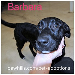 Thumbnail photo of Barbara #4