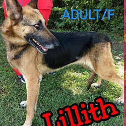 Photo of LILLITH