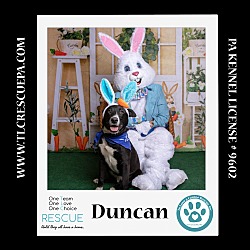 Thumbnail photo of Duncan (Cocoa Krispies) 020324 #4