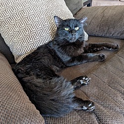 Photo of Hades
