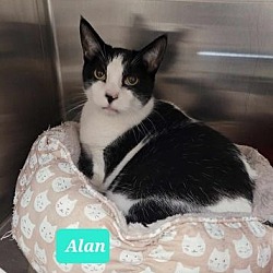 Thumbnail photo of Alan #1