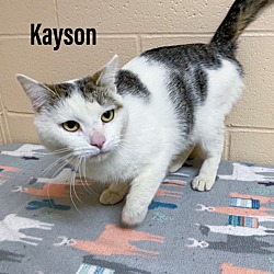 Photo of Kayson