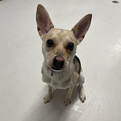 Photo of Chloe