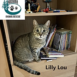 Thumbnail photo of Lilly Lou #1