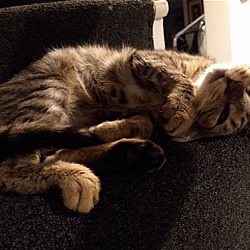 Photo of Ren