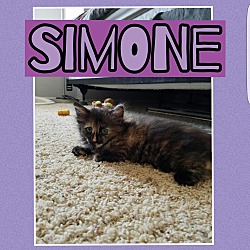 Thumbnail photo of Simone #1