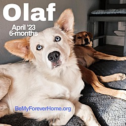 Photo of Olaf