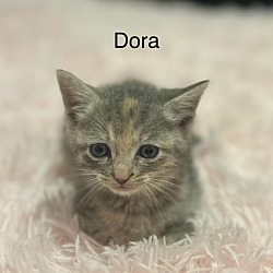 Thumbnail photo of Dora #2