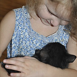 Thumbnail photo of Dippy (1/2 price adoptions!) #2