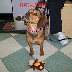 Thumbnail photo of BRIANNA #2