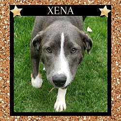 Thumbnail photo of XENA #4
