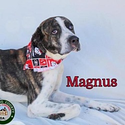 Photo of Magnus