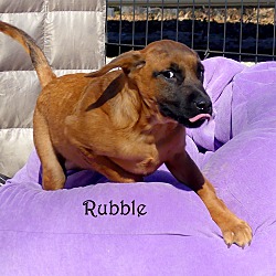 Thumbnail photo of Rubble ~ meet me! #2
