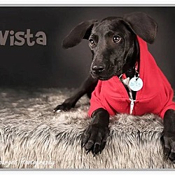 Photo of Vista is Reserved
