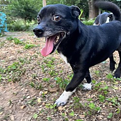 Photo of Ernie