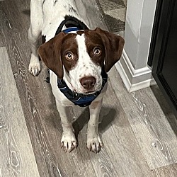 Photo of Truffles
