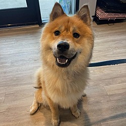 Photo of Reign