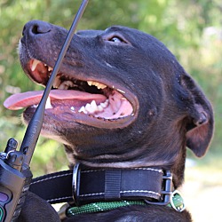 Photo of Tank