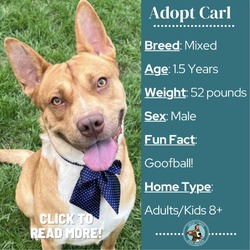 Photo of Carl