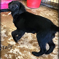 Thumbnail photo of Tally ~ meet me! #2