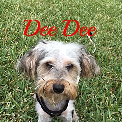 Thumbnail photo of Dee Dee #1