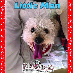 Thumbnail photo of Little Man #2