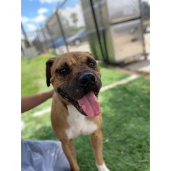 Photo of *CHEECH