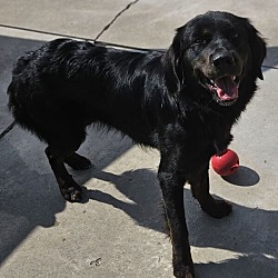 Photo of Remy