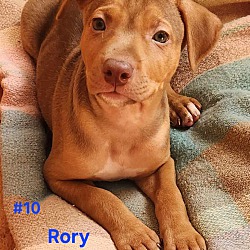 Photo of Rory