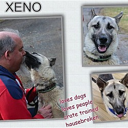 Thumbnail photo of XENO #1