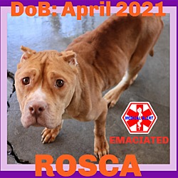 Thumbnail photo of ROSCA #1
