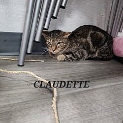 Photo of Claudette