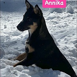 Thumbnail photo of Annika #4
