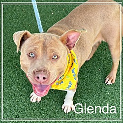 Thumbnail photo of GLENDA #3
