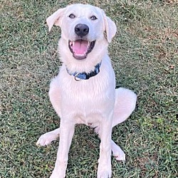Photo of George
