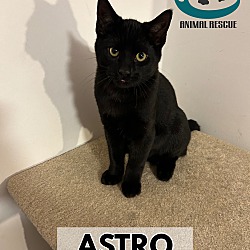 Photo of Astro
