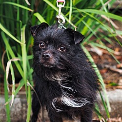 Photo of Squish